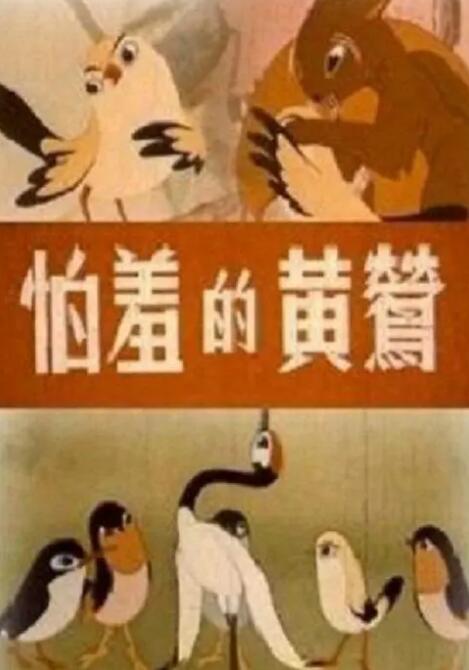 欧美美脚