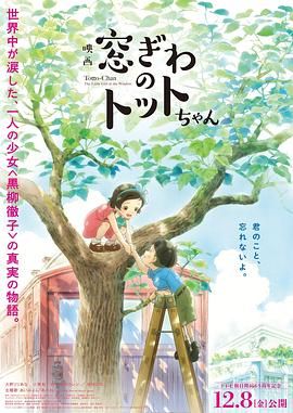 日韩一区二区视频