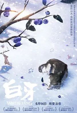 91国偷自产一区二区三区